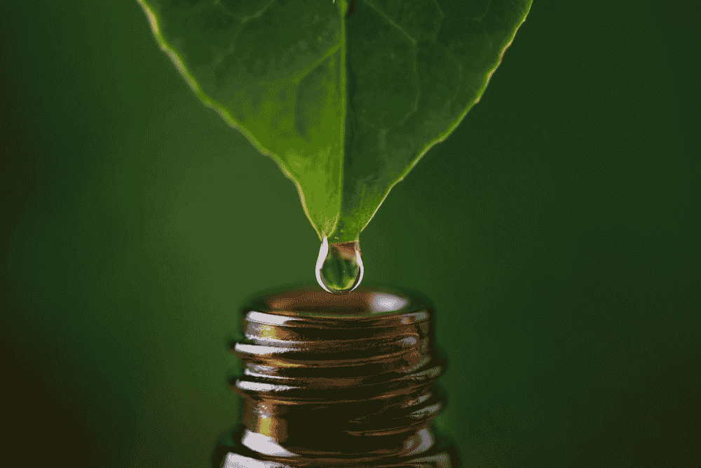A drop of liquid falling from a green leaf onto a glass dropper bottle, natural homeopathic care